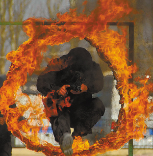 1459385562176661.jpg res03_attpic_brief.jpg