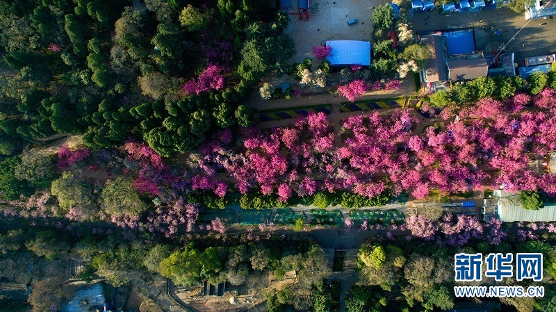 1459818702392759.jpg 1.jpg