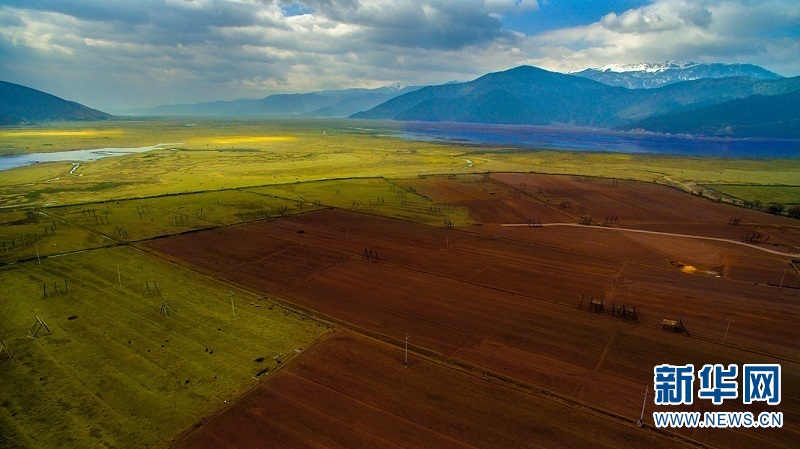 1459818942996141.jpg 1.jpg