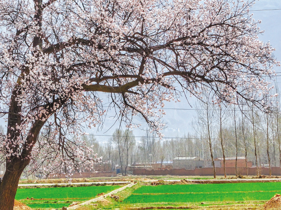 1459991019848542.jpg 1.jpg