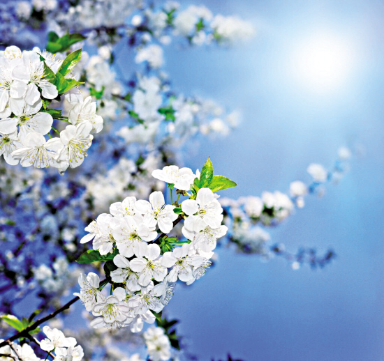 1459991339801648.jpg 1.jpg