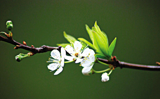 1459991347943942.jpg 2.jpg