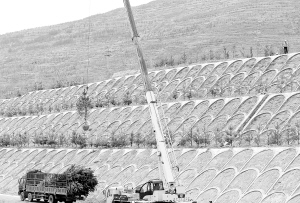 1460423906394952.jpg 1.jpg