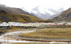 1461114725761972.jpg 3.jpg