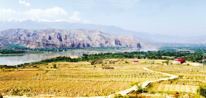 1463099362580080.jpg res03_attpic_brief (1).jpg