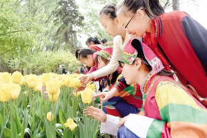 res01_attpic_brief (1).jpg