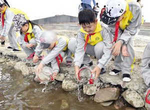 1465261453893031.jpg res03_attpic_brief.jpg