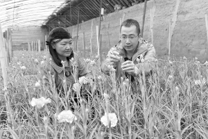 1465692602670064.jpg res01_attpic_brief (1).jpg