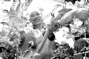 1465779638176856.jpg 1.jpg