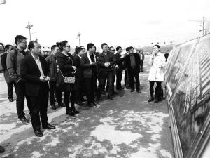 1466384692121689.jpg res01_attpic_brief (1).jpg