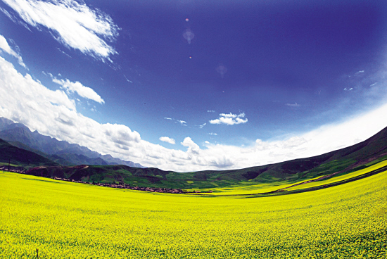 res03_attpic_brief (1).jpg