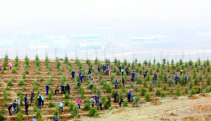 1493770750288927.jpg 1.jpg