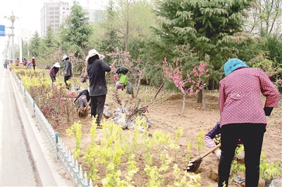 1494292413712424.jpg res04_attpic_brief.jpg