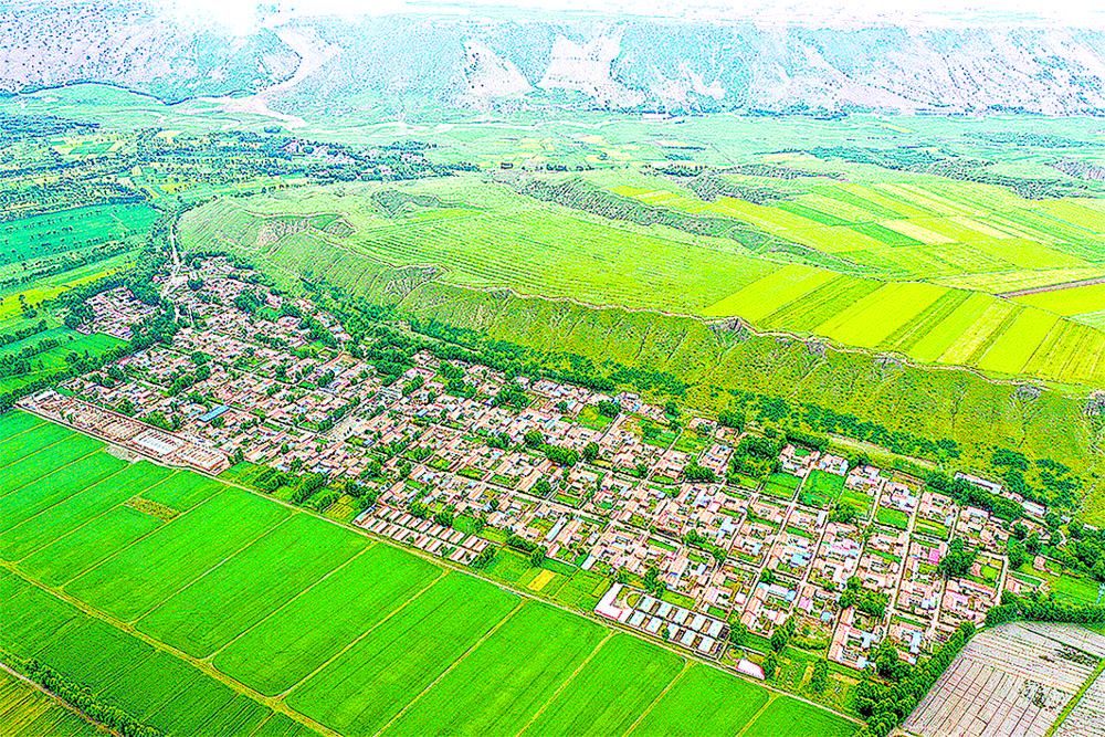 1652747418491695.jpg 01.jpg