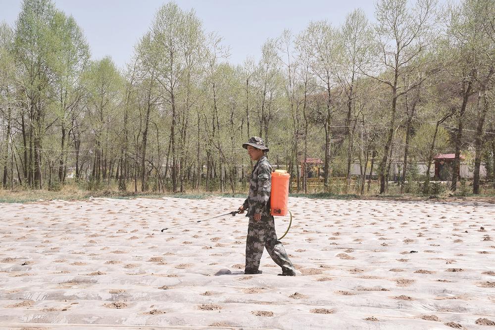 1652836410167366.jpg 02.jpg