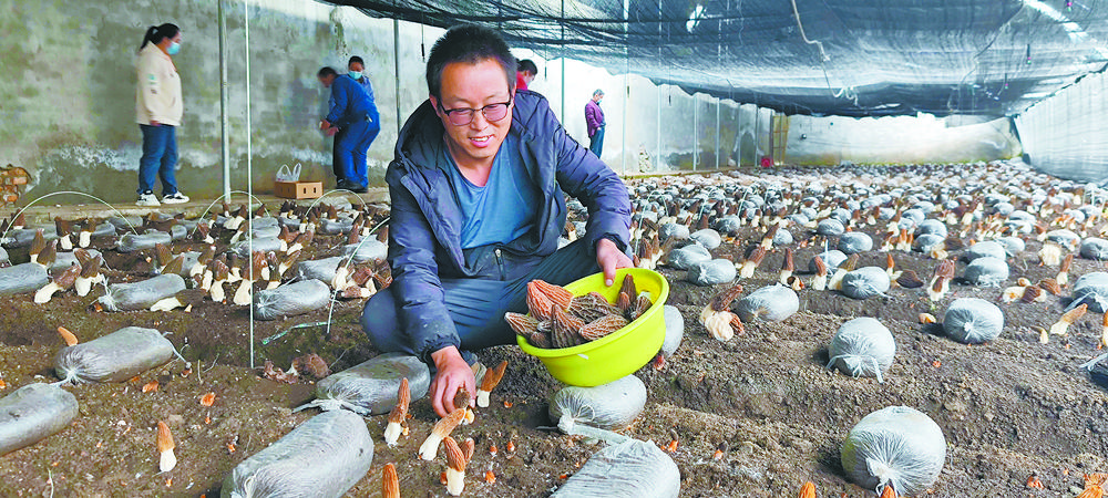 1653442939447650.jpg 1.jpg