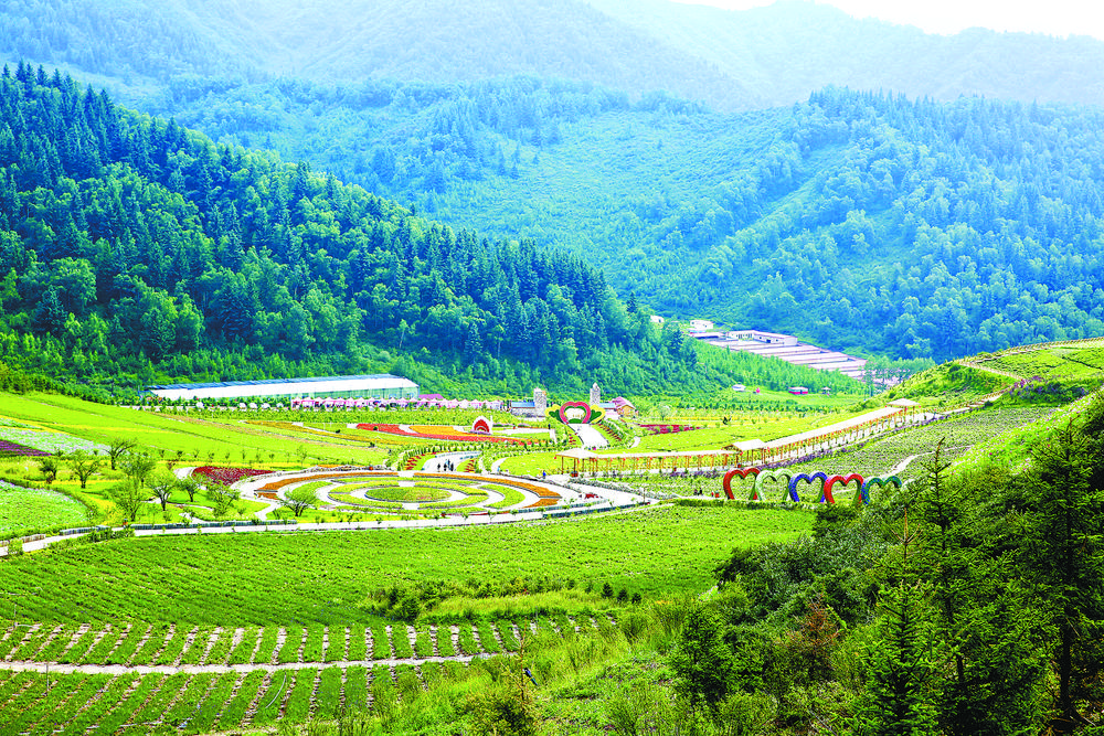 1653528837926714.jpg 2.jpg