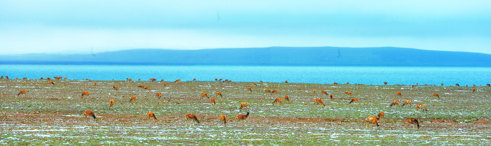 1654389141288951.jpg 02.jpg