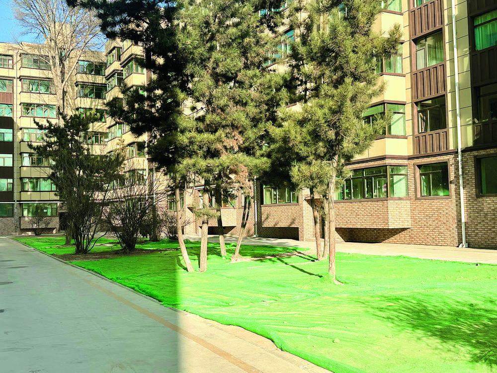 1701652639211817.jpg 1.jpg