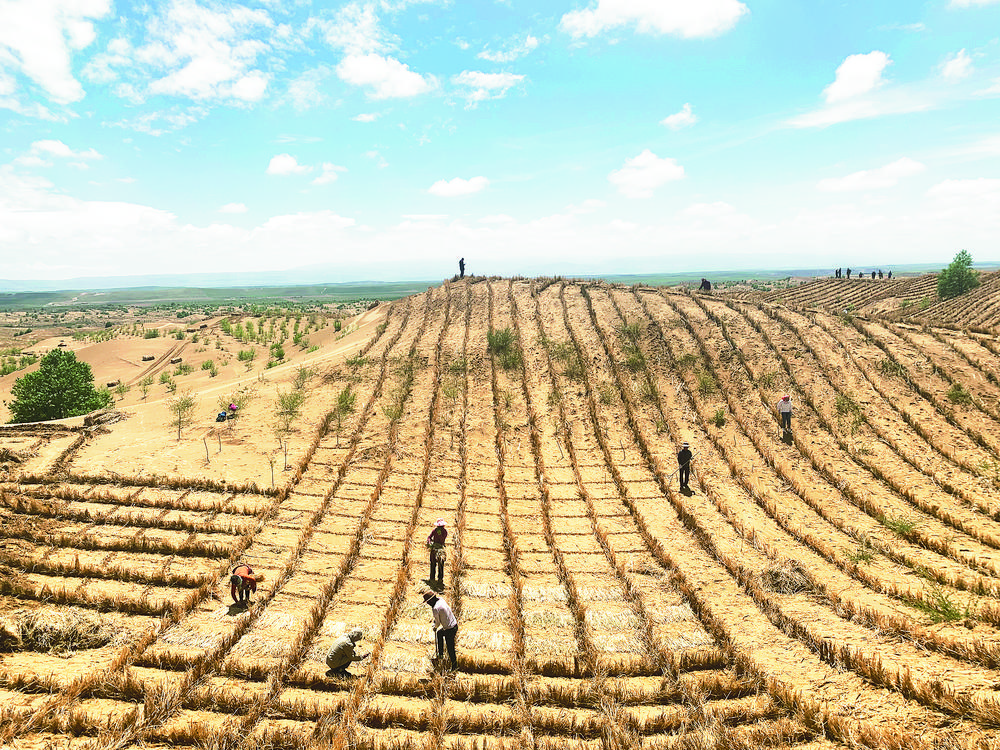 1701738665733619.jpg 1.jpg