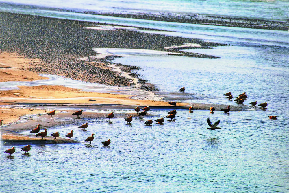 1702603852609101.jpg 1.jpg