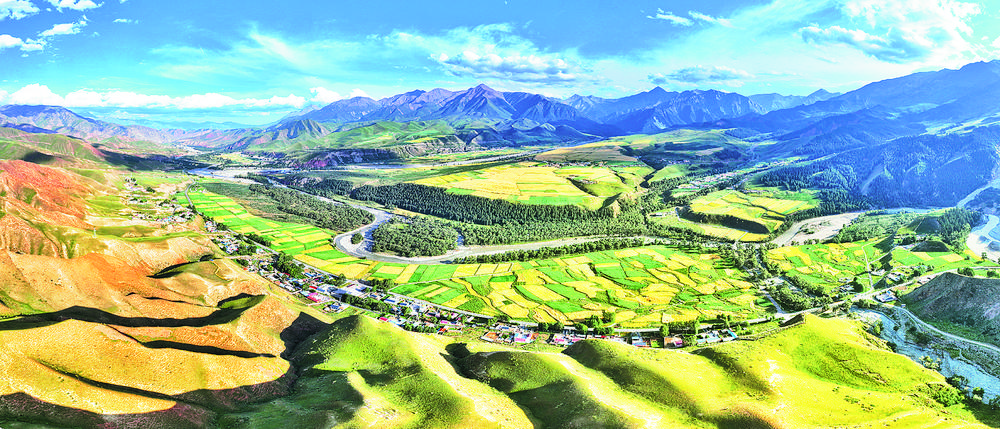 1703121777772989.jpg 1.jpg