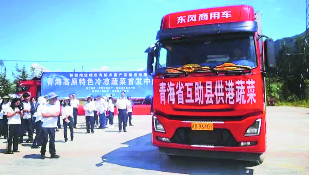 1705889757472118.jpg 2.jpg