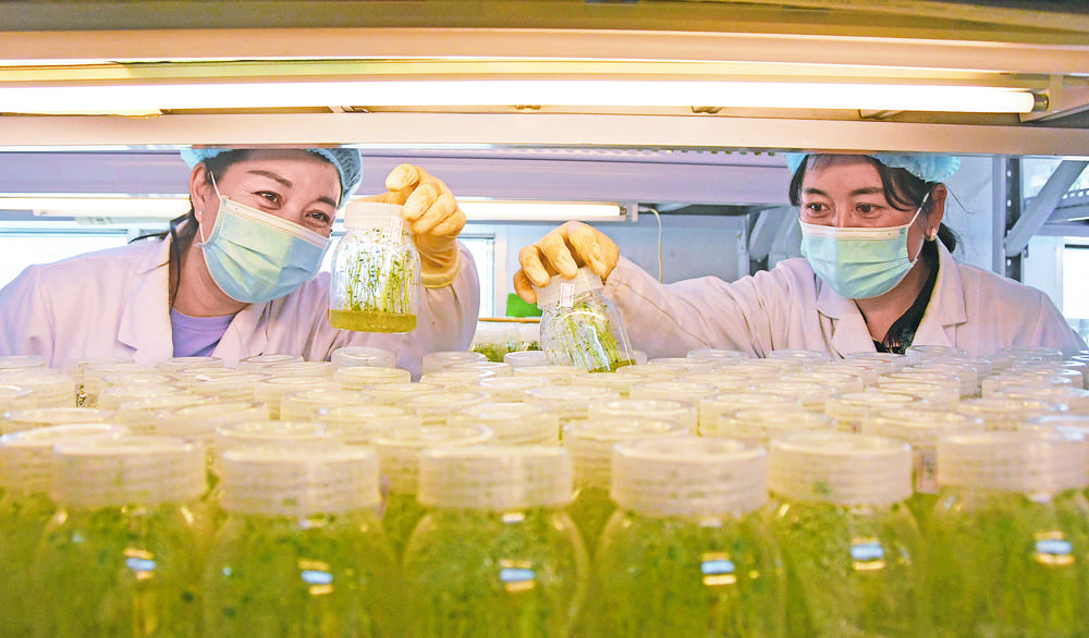 1706405307140312.jpg a6711ee5-ea9a-48d6-8f9f-226e3f9912c2.tif.jpg