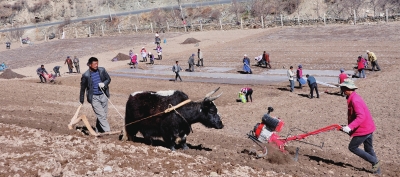 1459474206321288.jpg ww.jpg