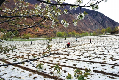 1459474212670010.jpg wwww.jpg