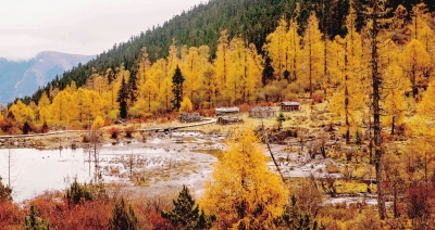 1459905882645221.jpg res10_attpic_brief.jpg