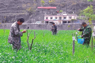 res01_attpic_brief (9).jpg