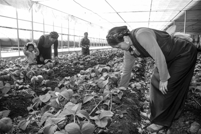 1463105687909141.jpg res01_attpic_brief (5).jpg