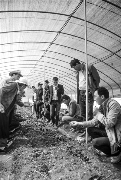 1463105701390140.jpg res04_attpic_brief (3).jpg