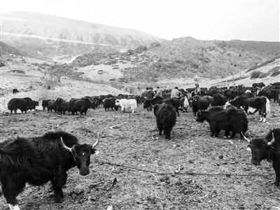 res01_attpic_brief (6).jpg