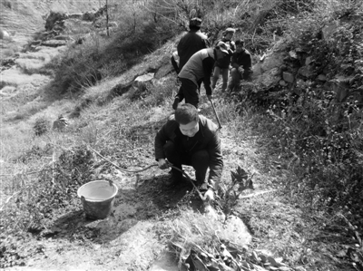 res01_attpic_brief (6).jpg