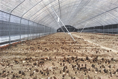 res13_attpic_brief (1).jpg