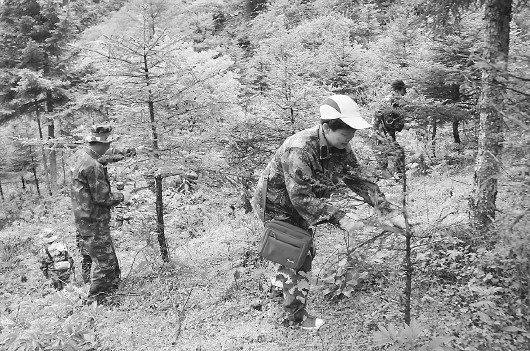 1465089696492481.jpg 12579206_397558.jpg