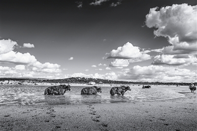 1465518368711444.jpg aa.jpg