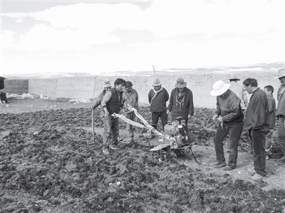 1465518534153794.jpg bb.jpg