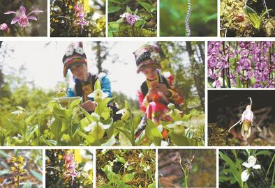 1466042800843135.jpg 1.jpg