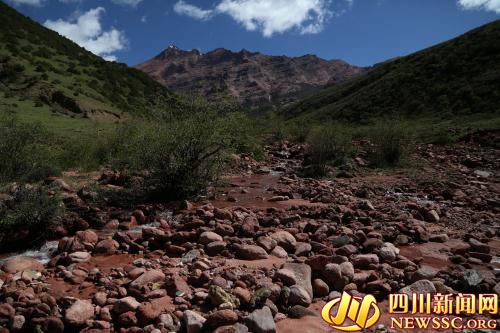 1466297843230318.jpg 2.jpg