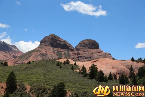 1466297860639419.jpg 3.jpg