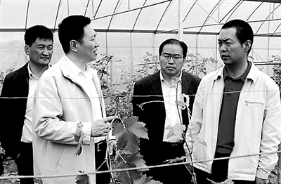 1459988235441184.jpg res01_attpic_brief.jpg