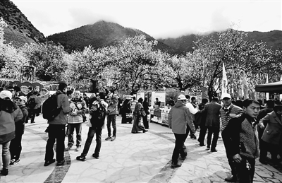 1459988242114660.jpg res04_attpic_brief.jpg