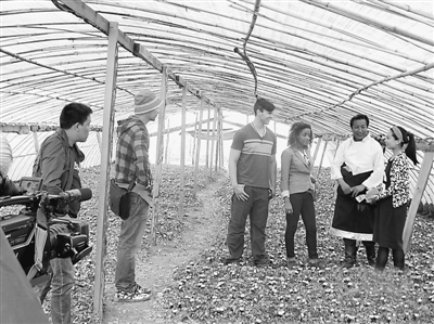 1460345832379631.jpg 1.jpg