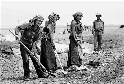 res01_attpic_brief (1).jpg