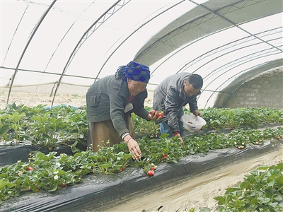 1462414577148397.jpg res01_attpic_brief (6).jpg