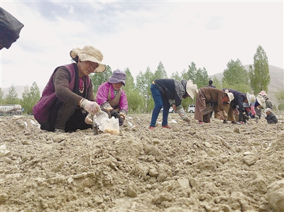 1462414742639277.jpg res04_attpic_brief (2).jpg