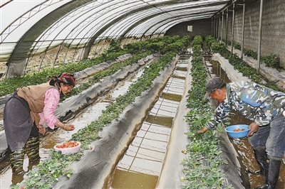 res07_attpic_brief (1).jpg